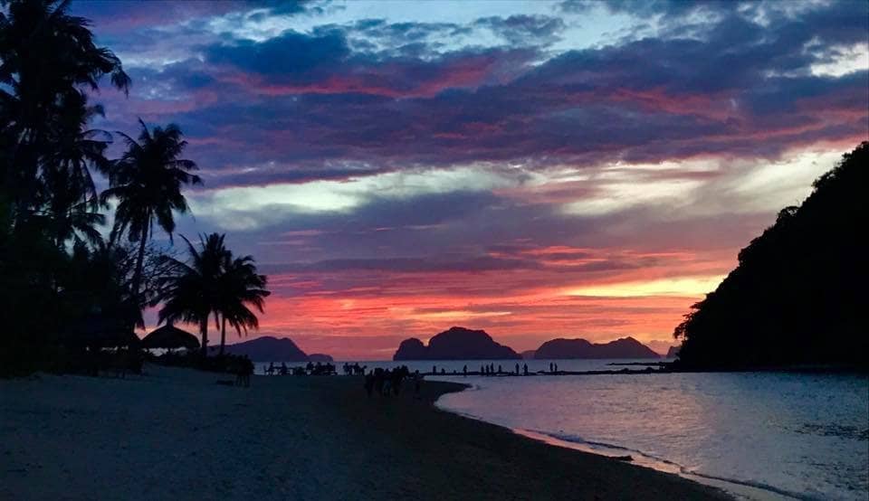 Thrilling Zipline Adventure