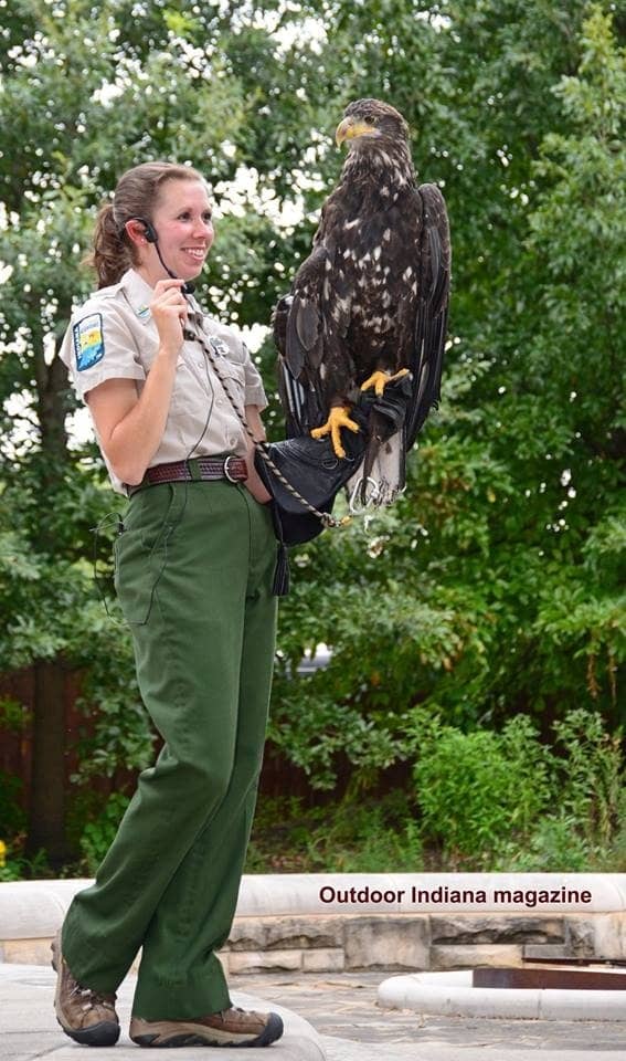 Wildlife Viewing Cruises