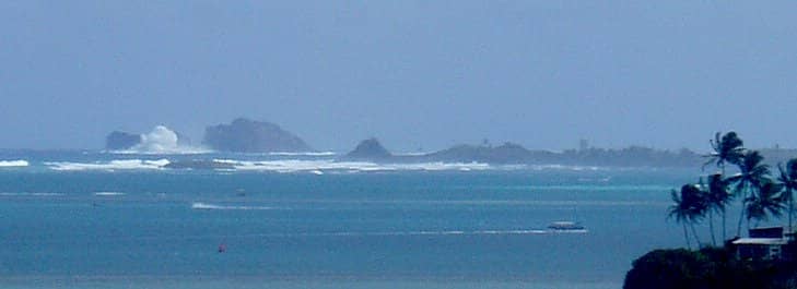 Coral Reefs & Marine Life