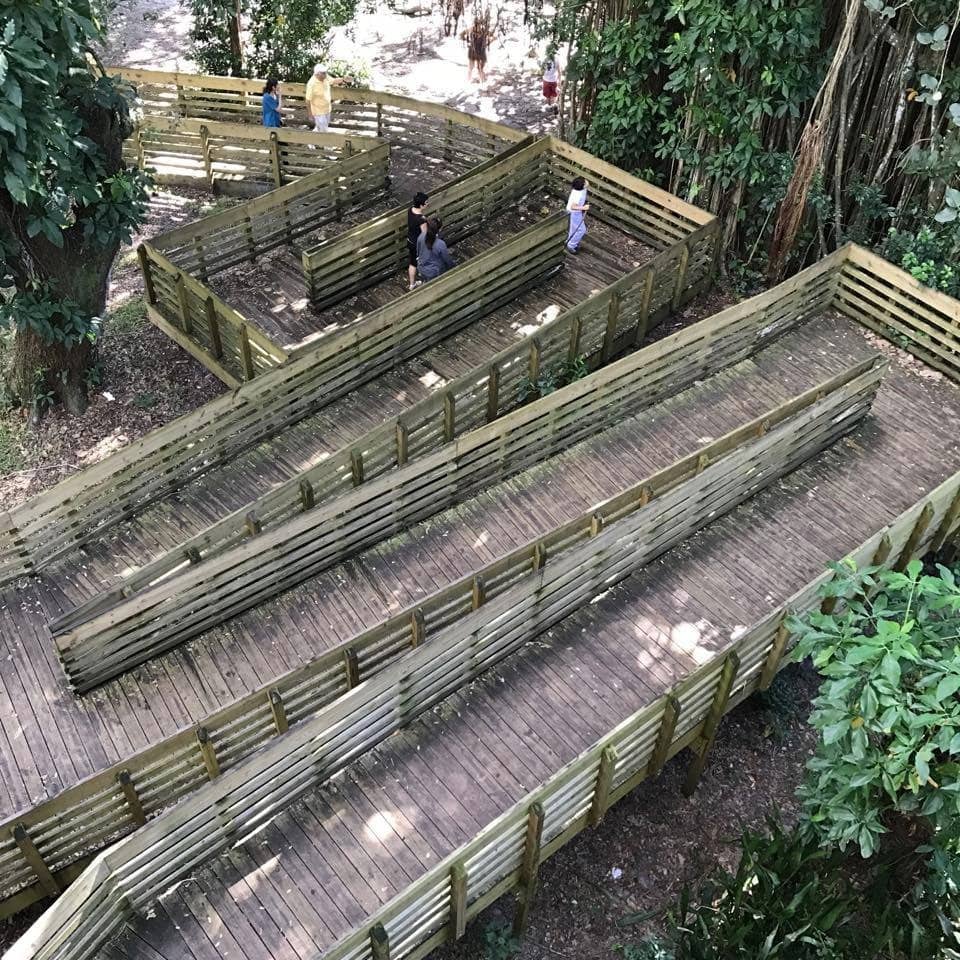 Equestrian Opportunities