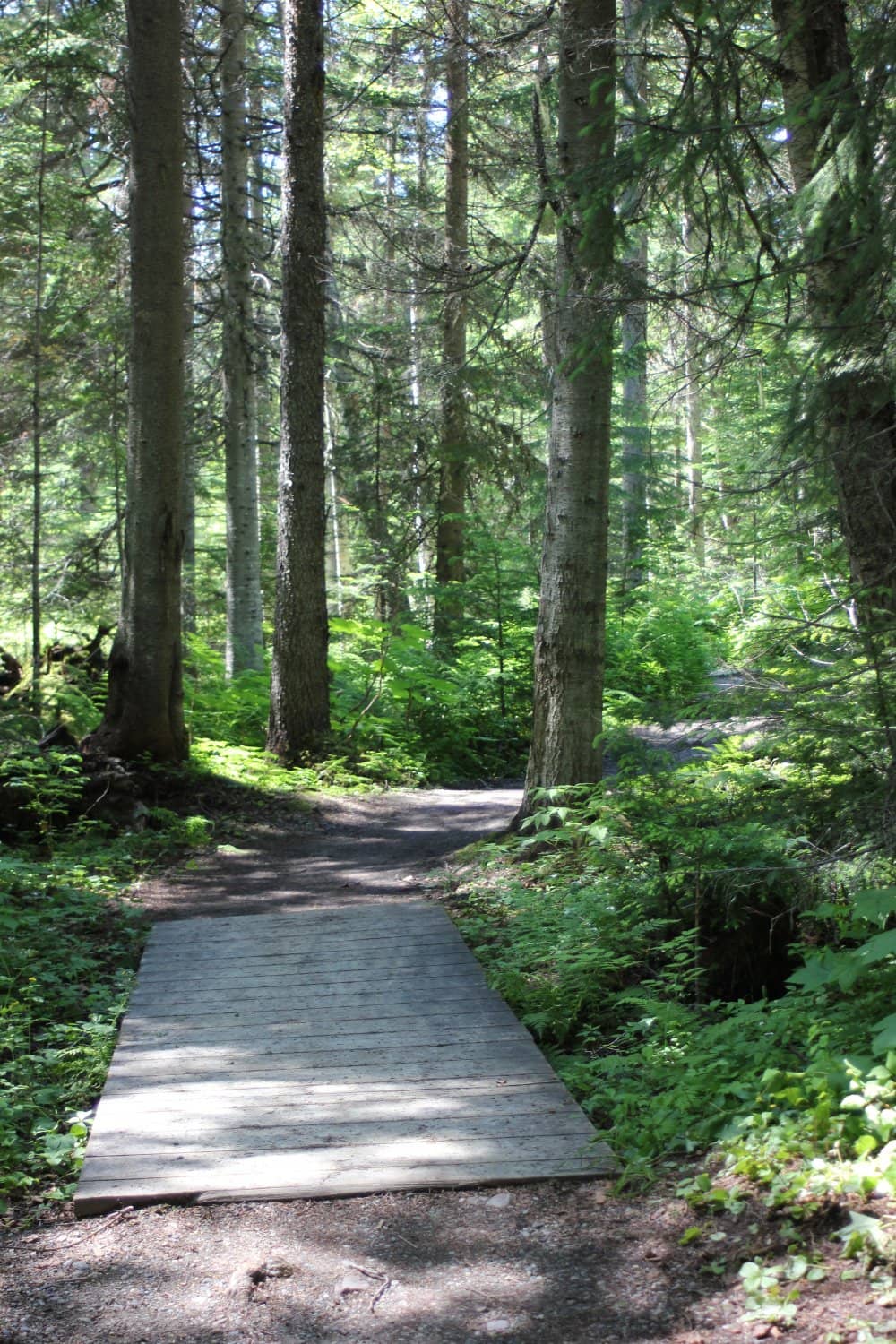 Spacious Campsites