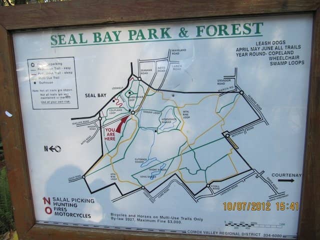 Forest Loop Trail