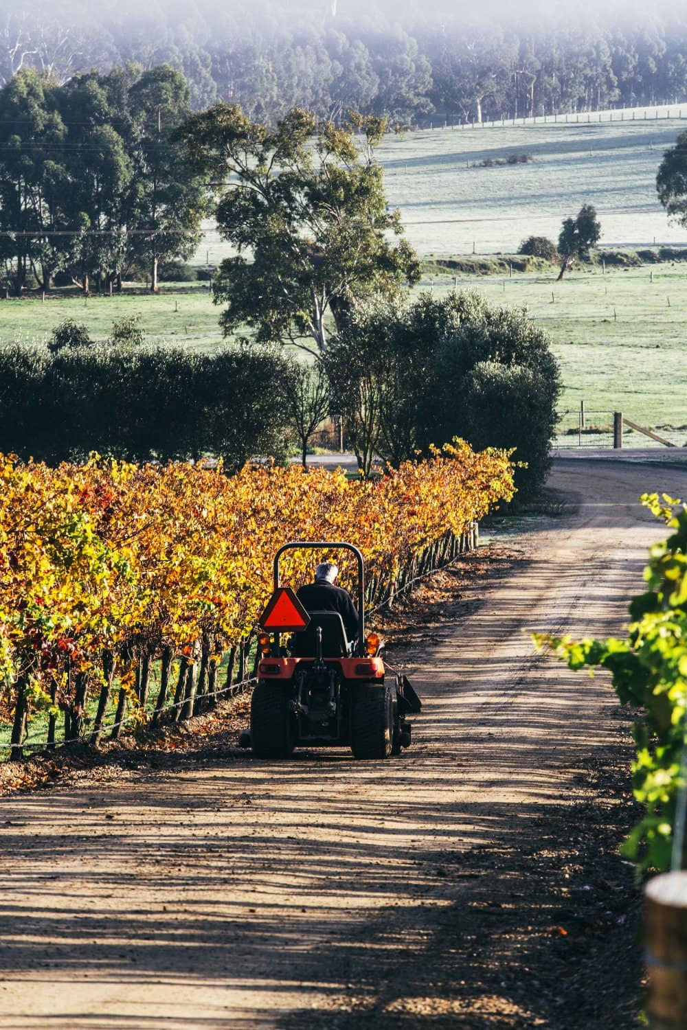 Wine Tasting