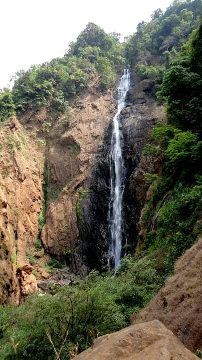 Lush Green Surroundings