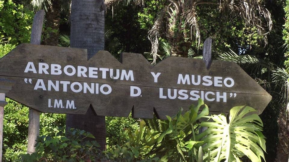 Diverse Plant Collection