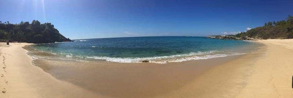 Natural Shade and Amenities