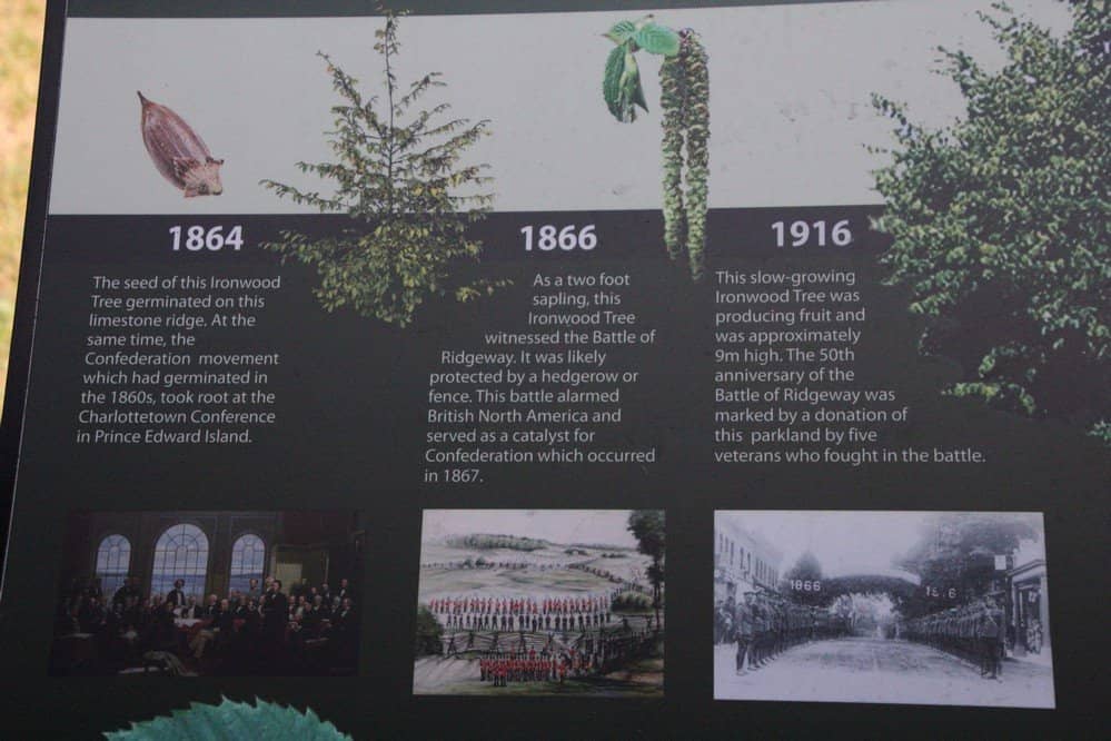 Interpretive Panels