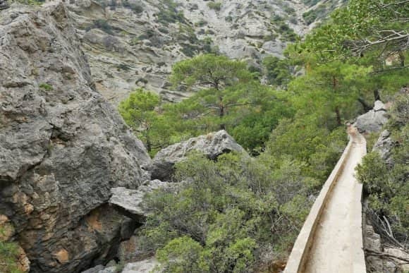 The Hiking Trail