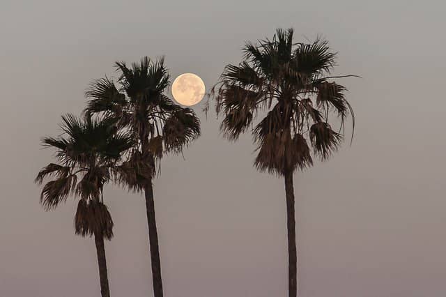 Snorkeling & Paddleboarding