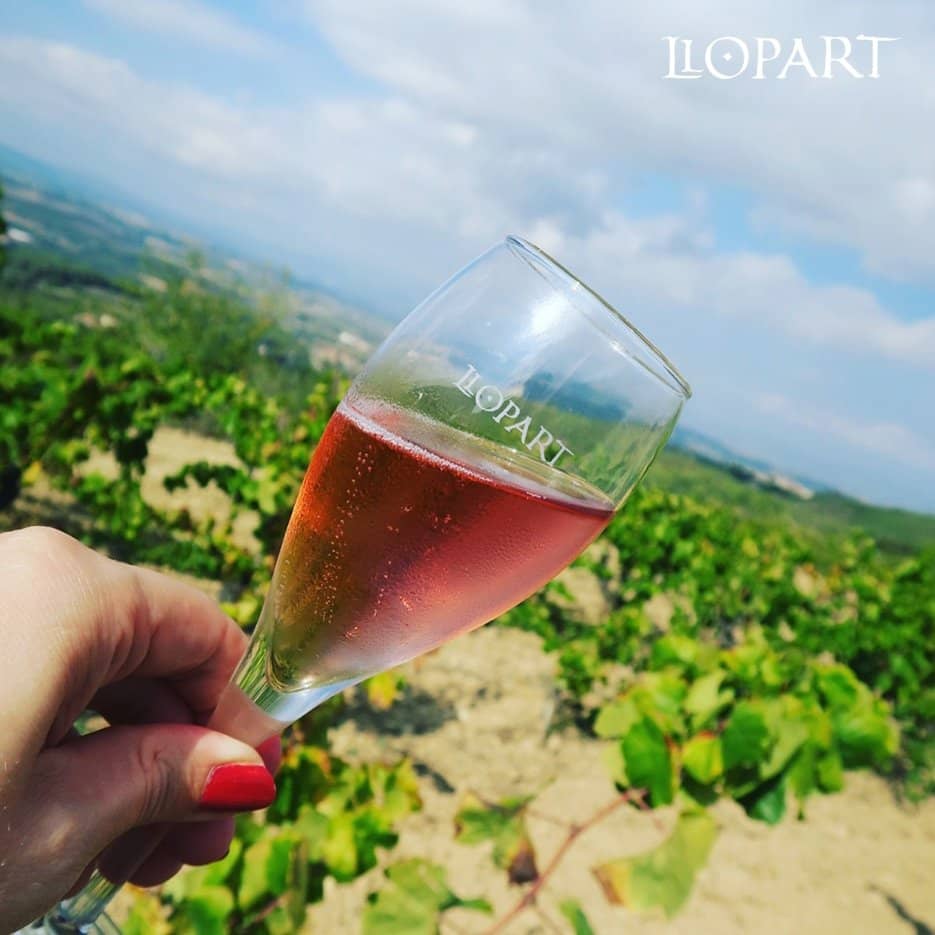 Ancestral Home Experience