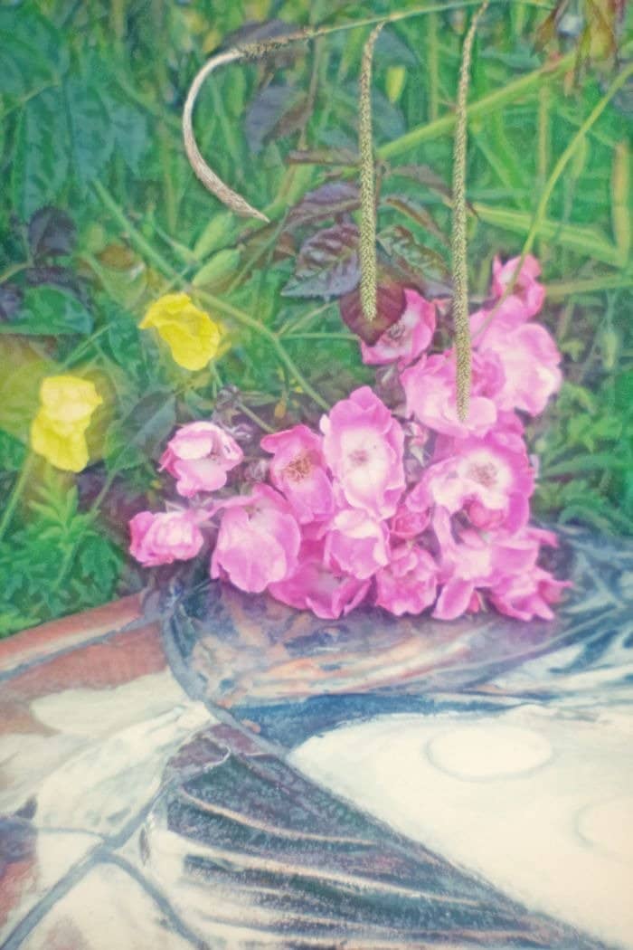 Vertical photo