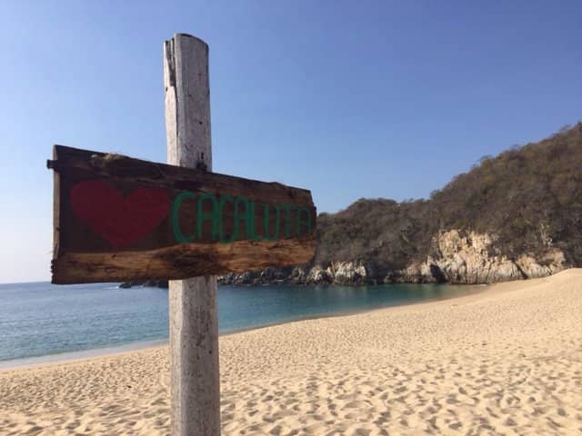 Snorkeling Opportunities