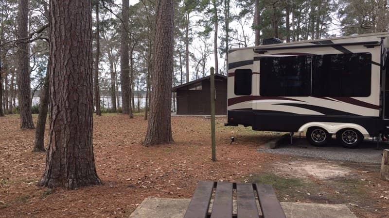 Stargazing Opportunities