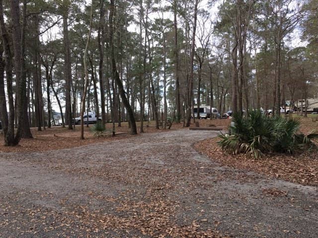 Big Creek Scenic Area