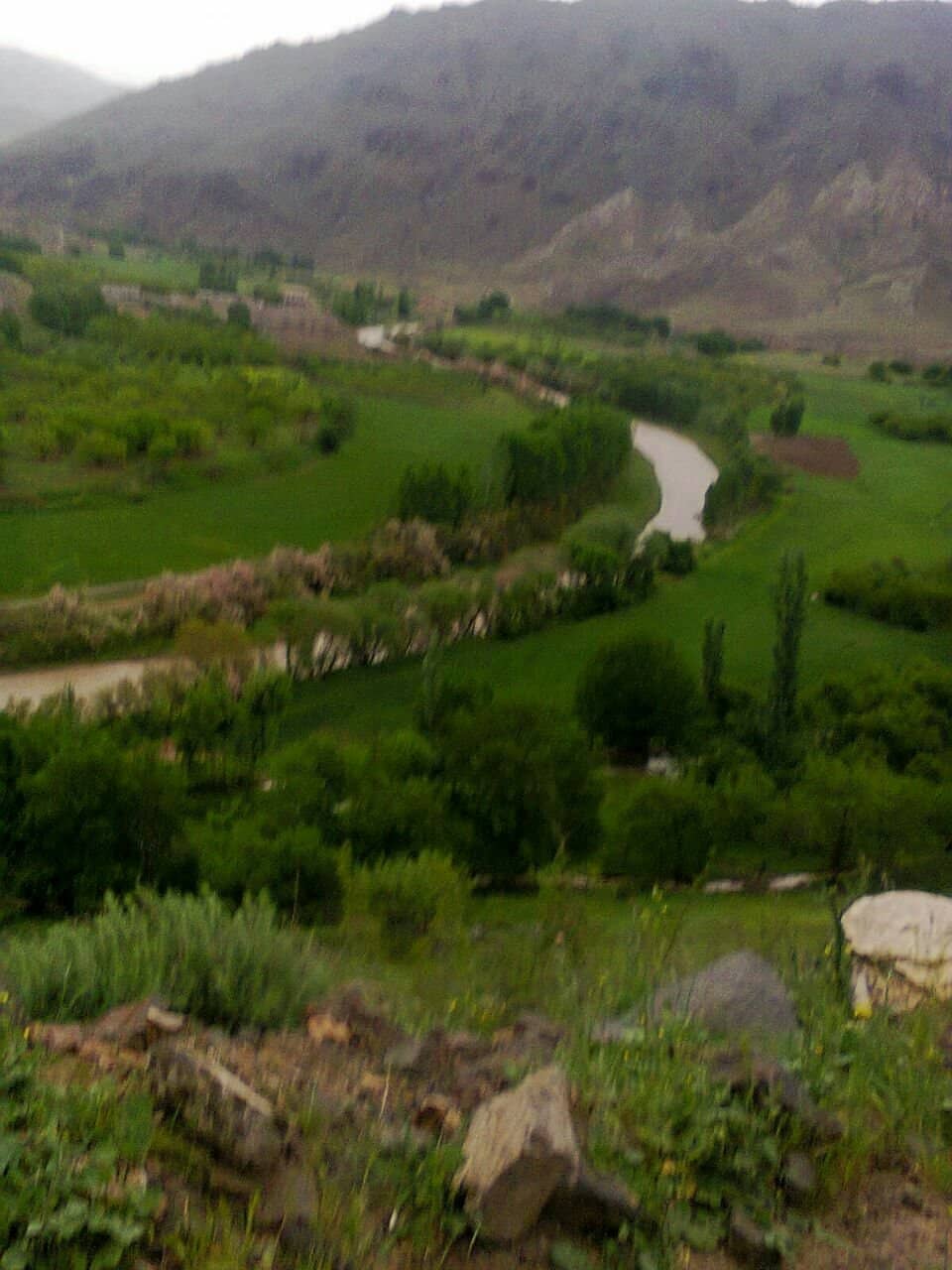 Imam Reza's Handwriting