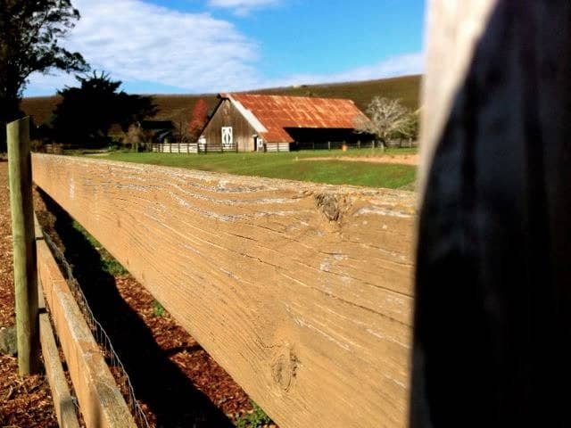 Regenerative Farming Education