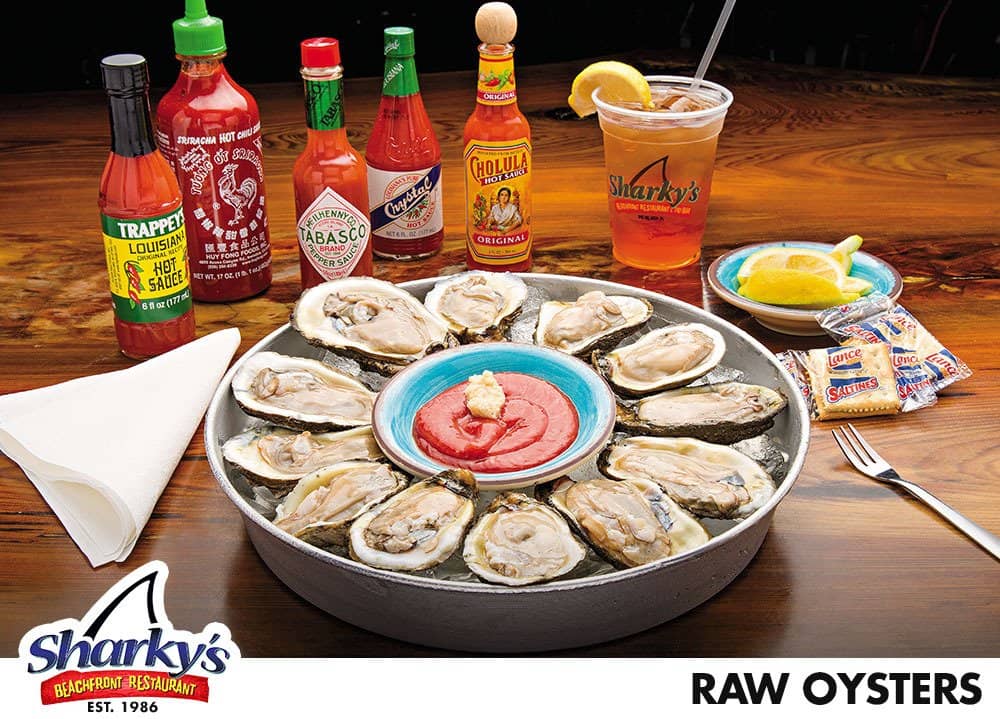 Family Fun with Pirate Playground