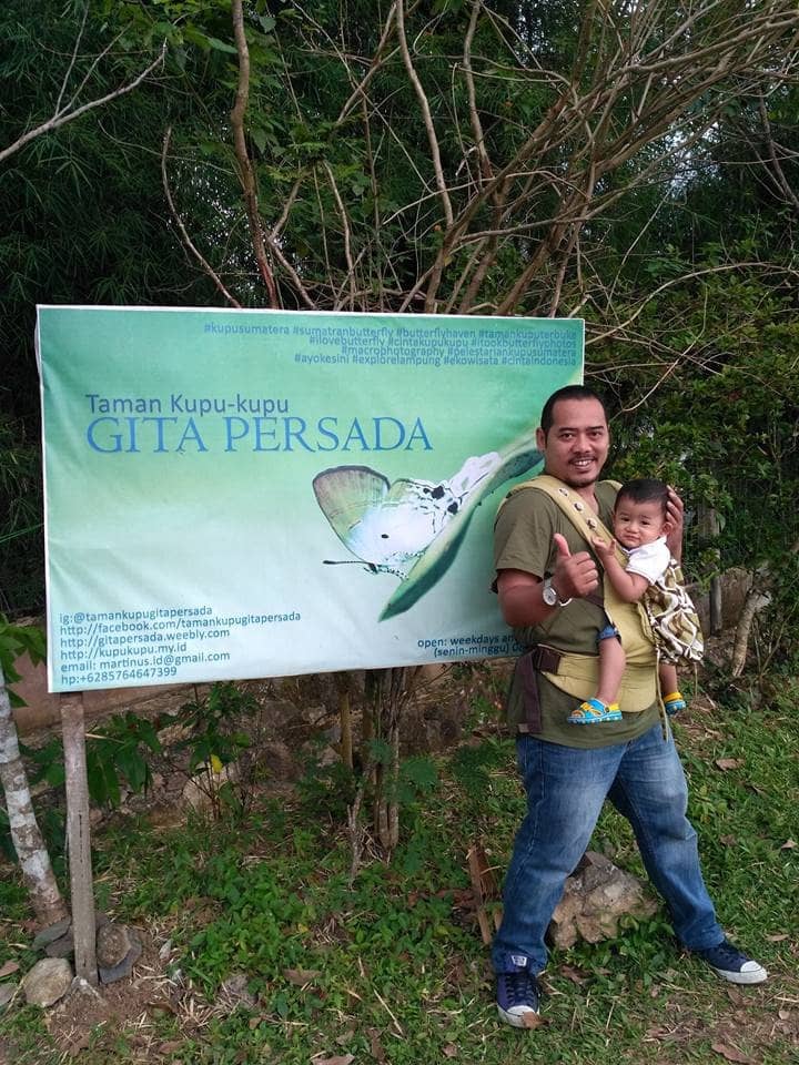 Caterpillar Breeding Area