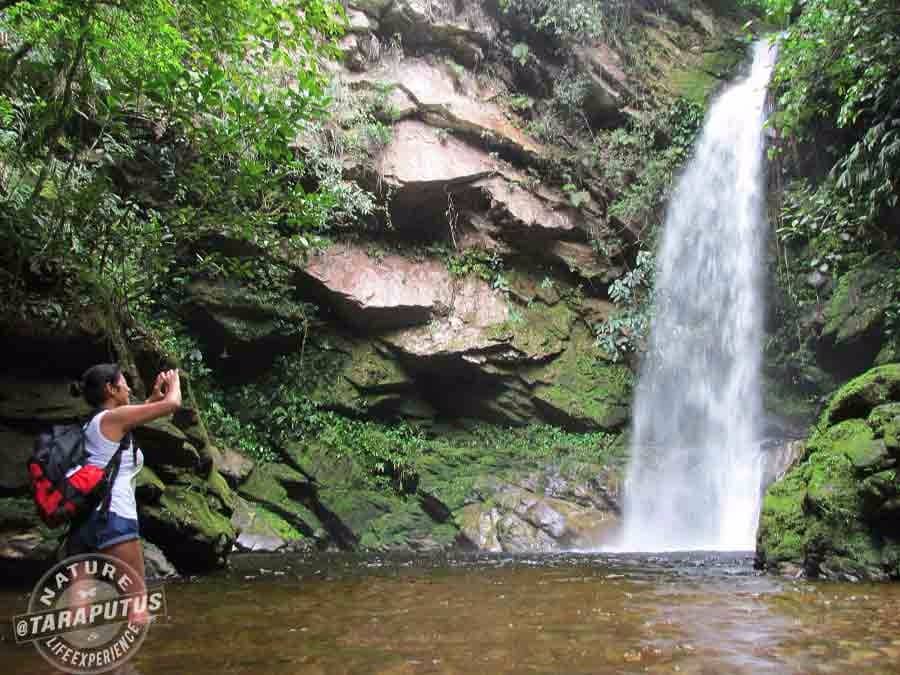 Lush Rainforest Scenery