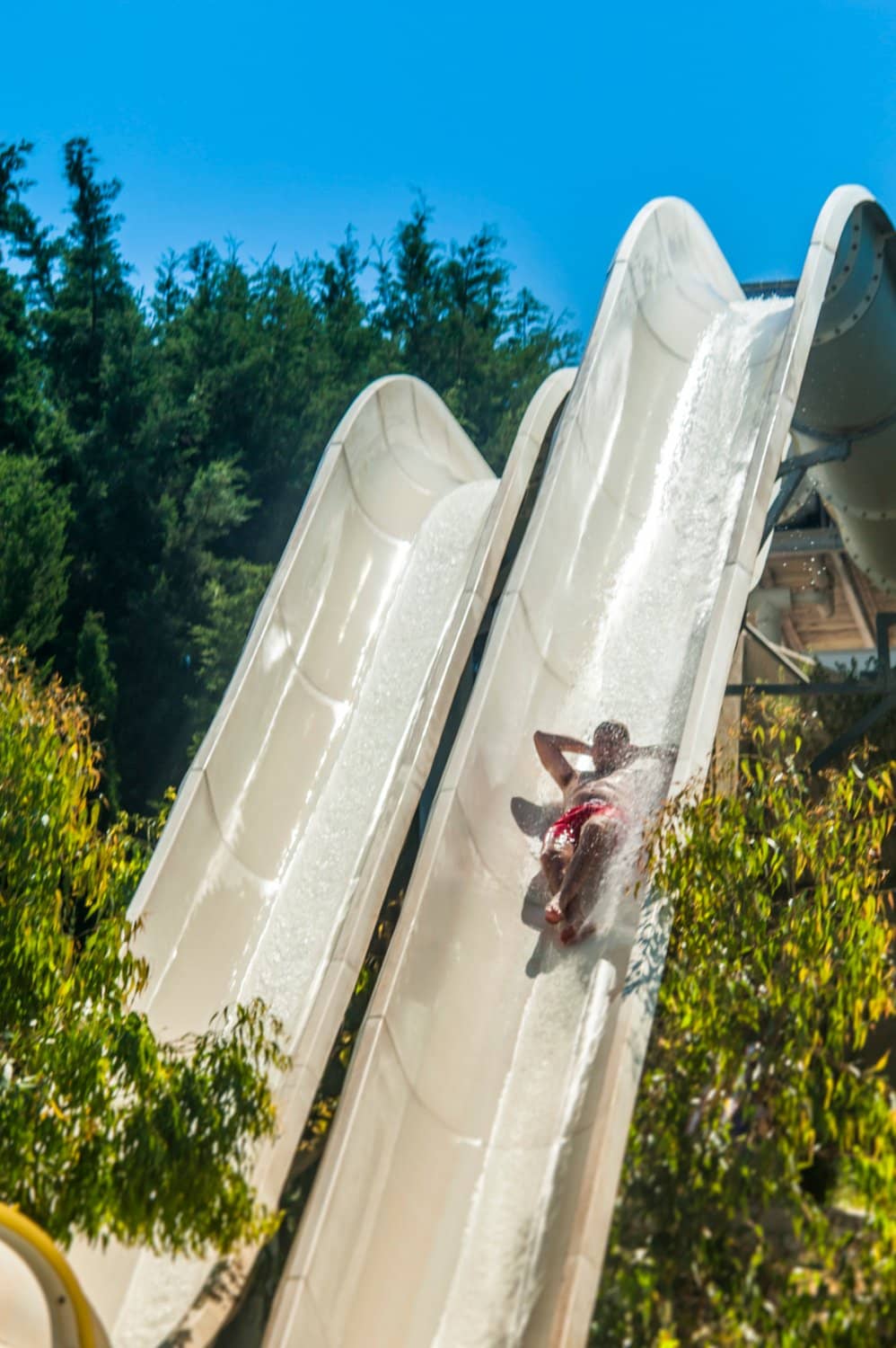 Thrill-Seeker Slides