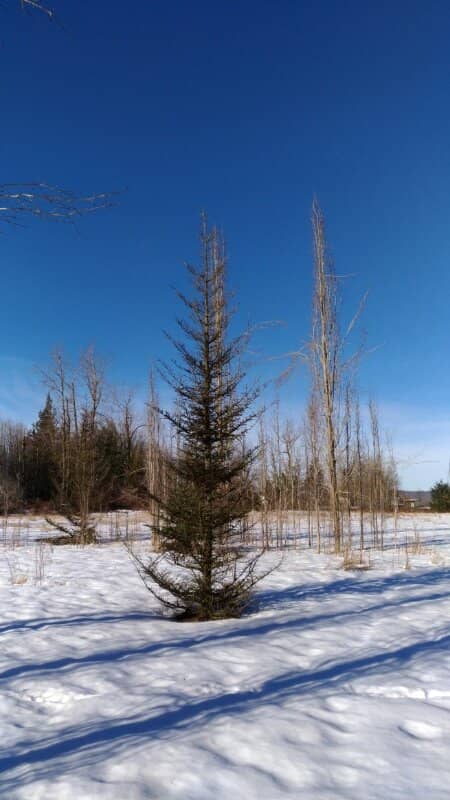 Picnic & Relaxation Spots