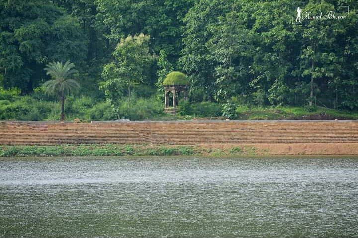 Serene Lake Views