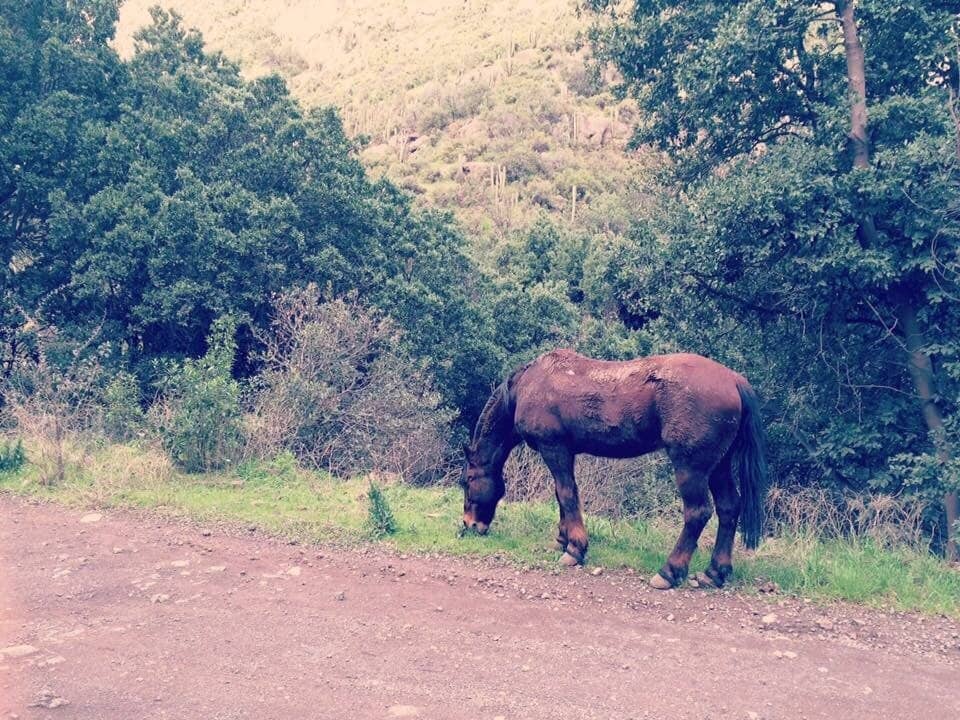 Hiking & Mountain Biking Trails