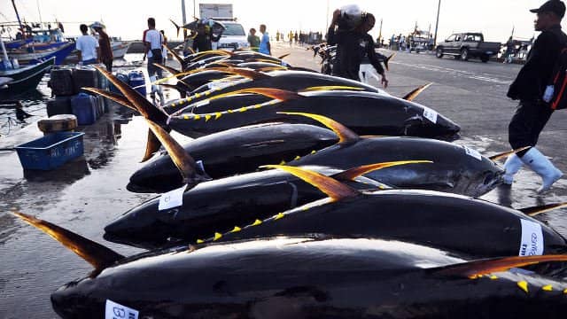 Bulungan Seafood Market