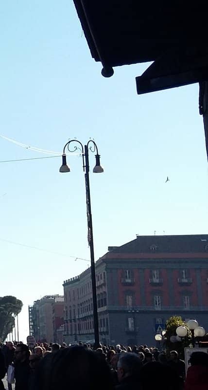 Giardino della Minerva