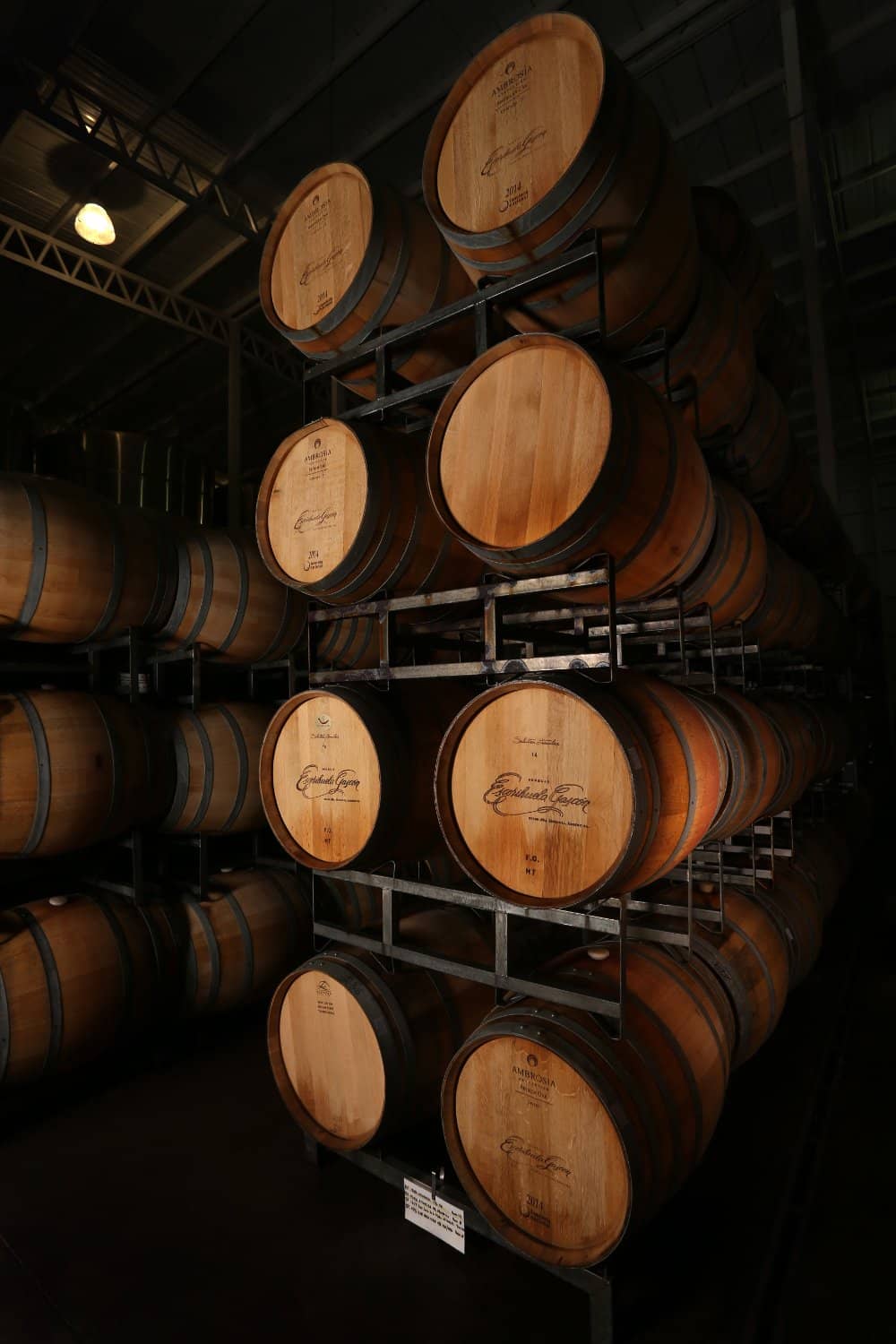 Wine Tasting Experience