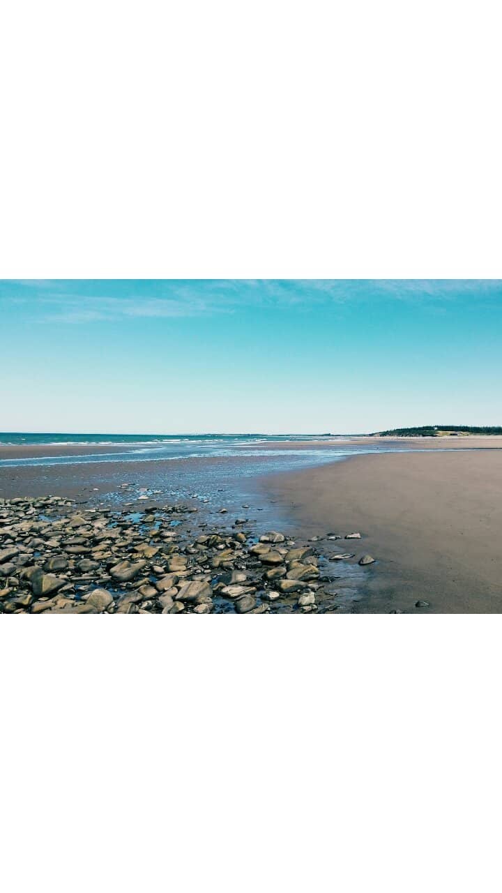 Family Fun & Swimming