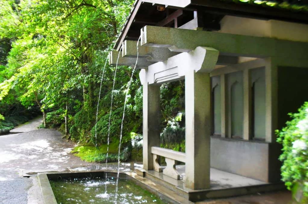 Ornamental Lake with Koi