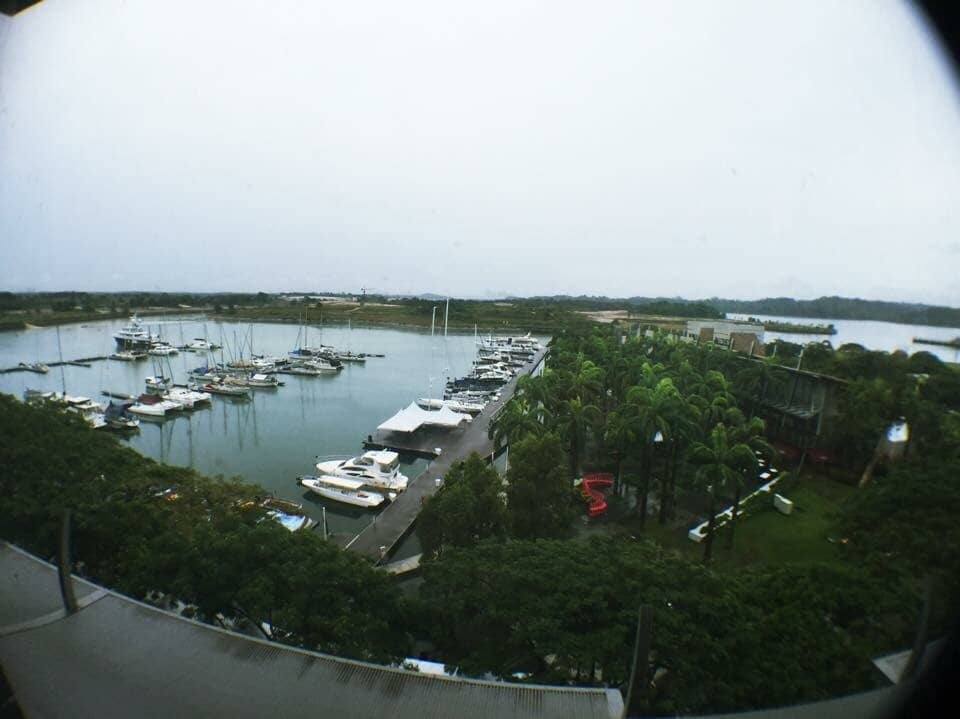 Vibrant Nightlife & Dining