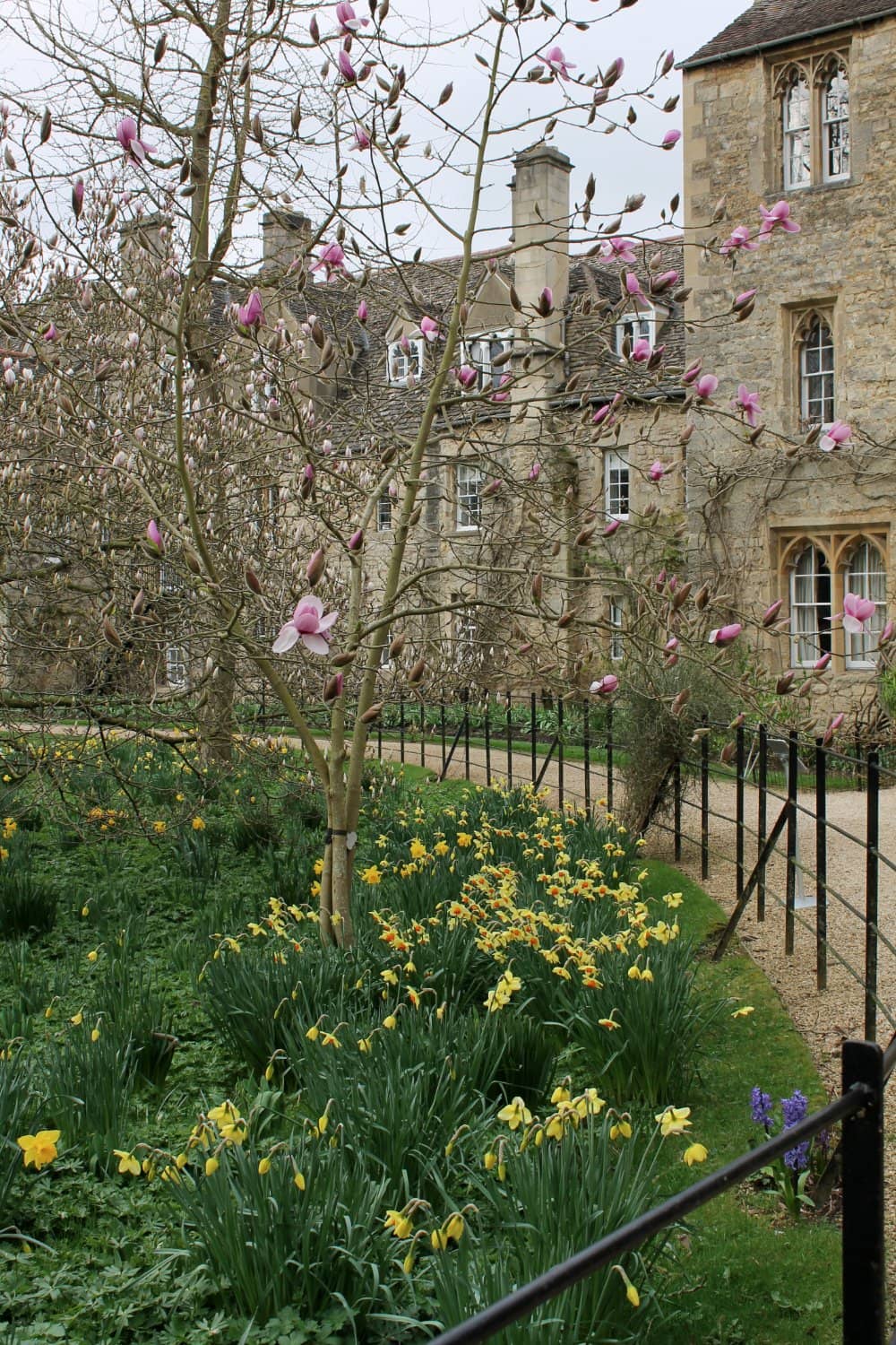 The Main Quad