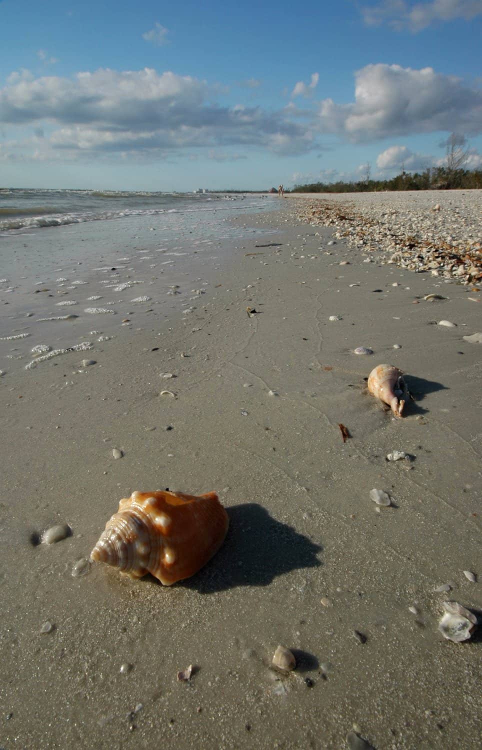 Shelling on the Banks