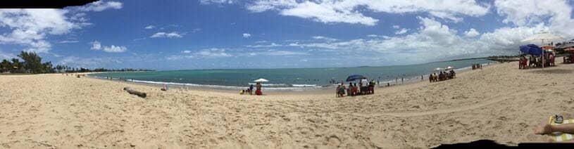 Palm-Lined Coastline