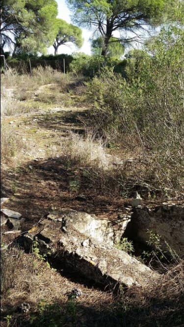 Extensive Trail Network