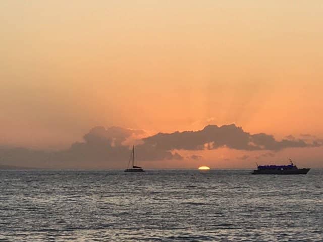 Interactive Activities