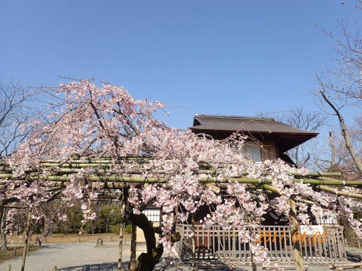 Kiku-no-Mon Gate