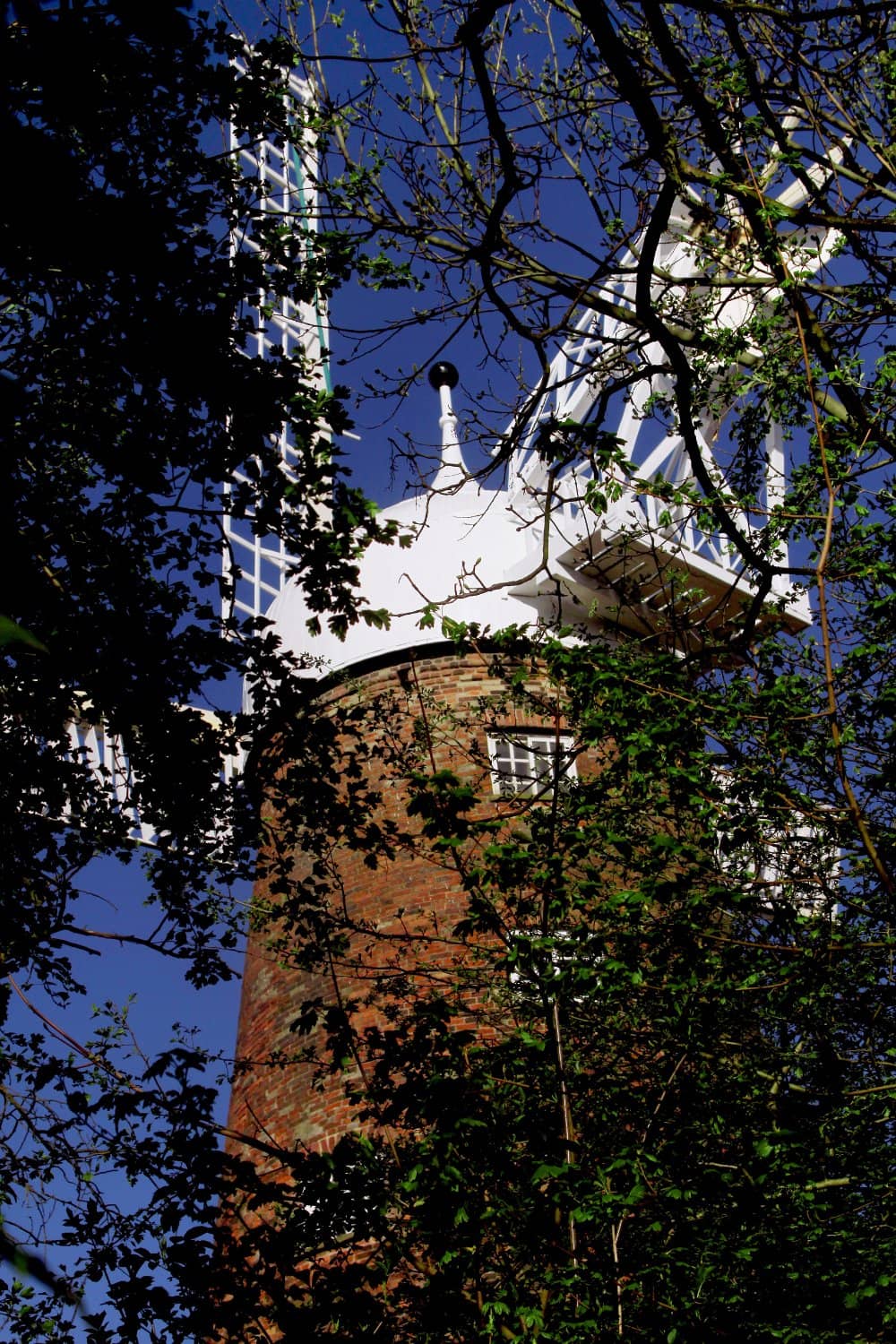 Vertical photo