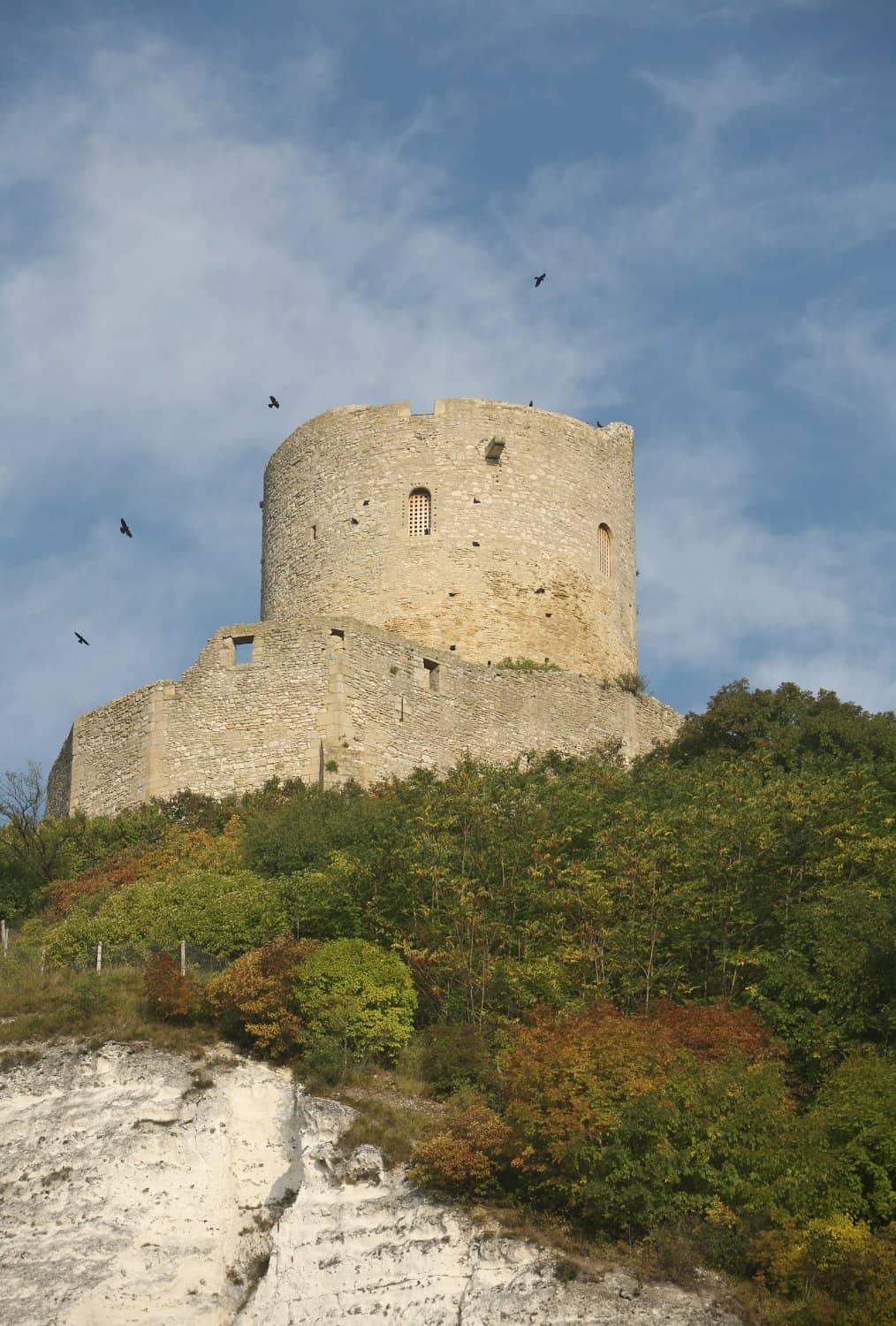 The Vegetable Garden