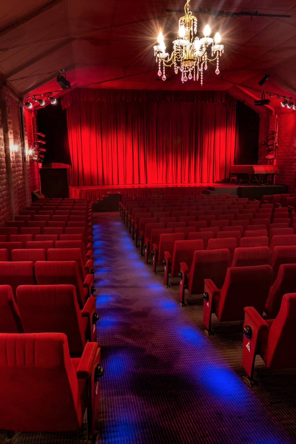 Q&A Screenings
