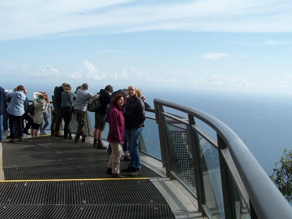 The Skywalk Experience