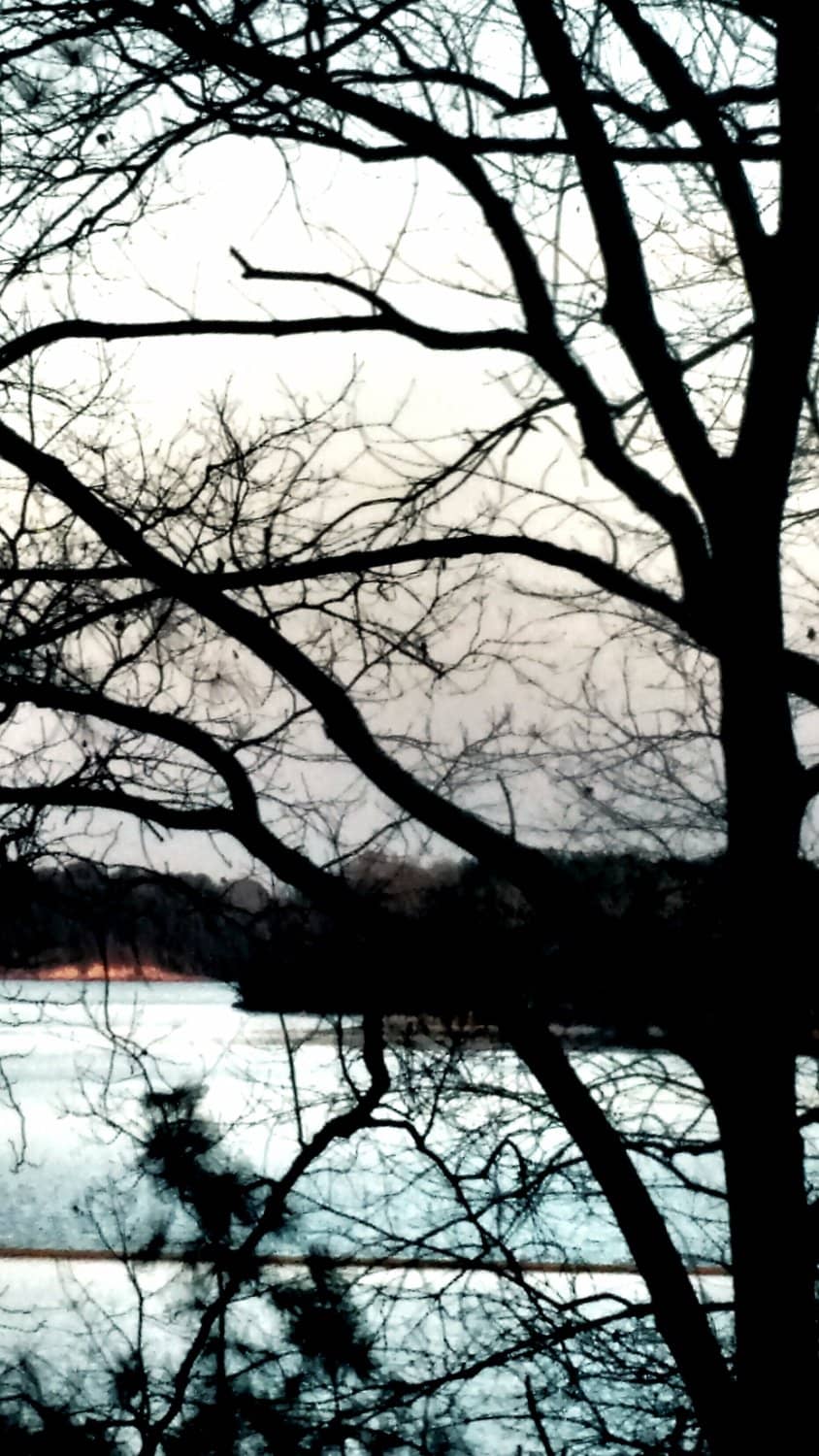 Fishing Opportunities