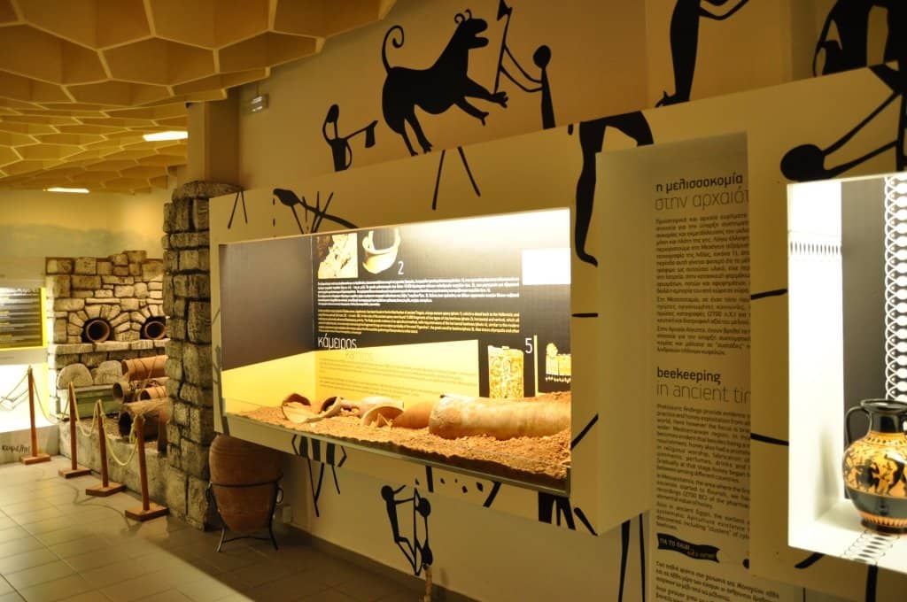 Live Bee Observation Hive