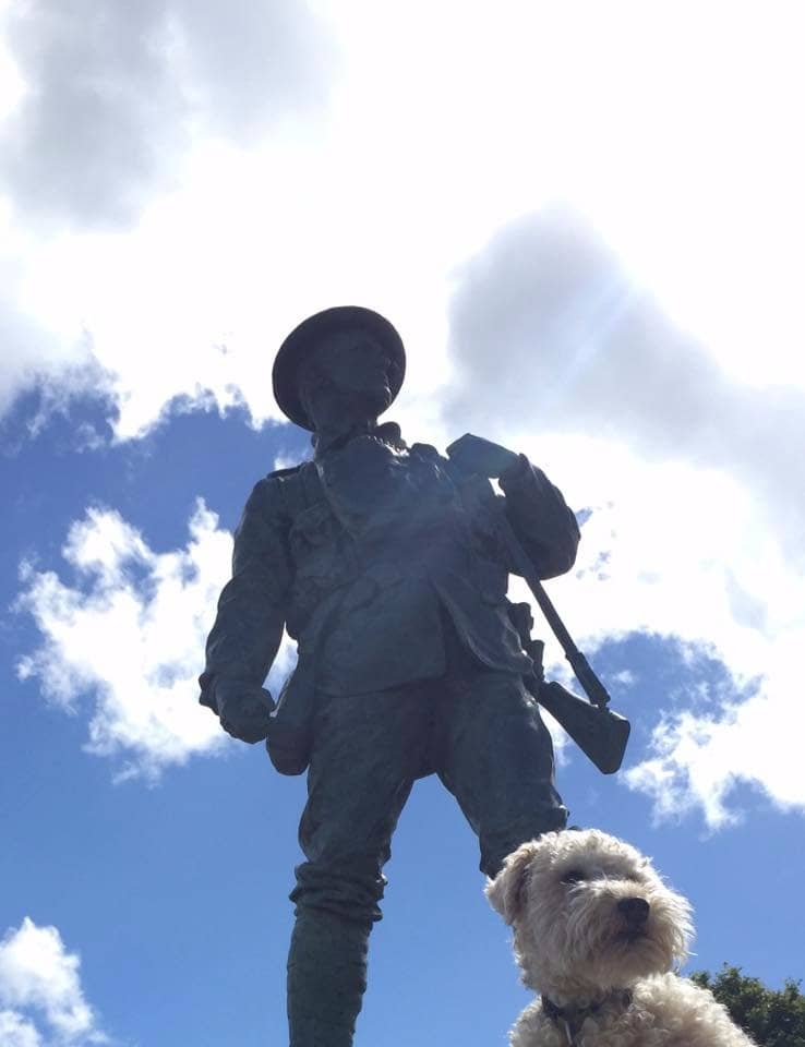 Dog-Friendly Exploration