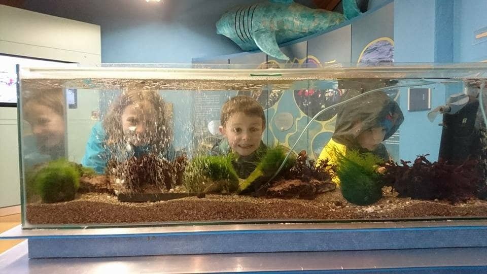 Marine Discovery Centre