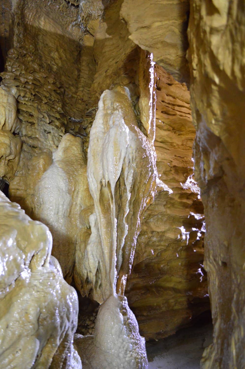 Cameron Cave Exploration