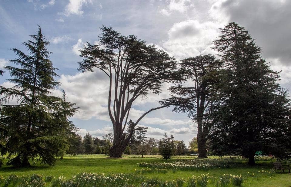 Below Stairs Experience