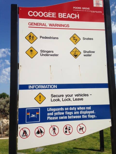 Omeo Wreck